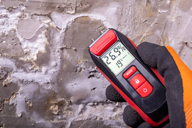 Best Residential Mold Removal  in Walterboro, SC