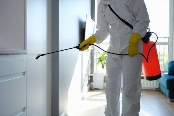 Crawl Space Mold Removal in Walterboro, SC